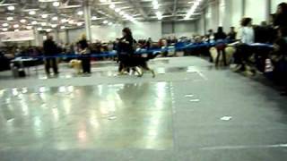 MOV01579.AVI