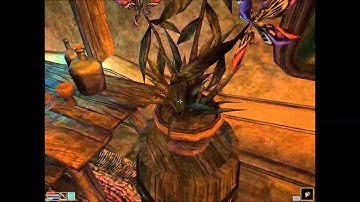 The Elder Scrolls III: Morrowind - walkthrough part 2