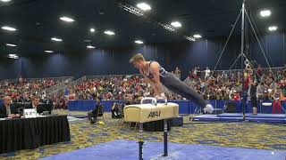 Dylan Young - Pommel Horse - 2018 Winter Cup - Finals