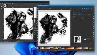 Raster Images Compared to Vector Images and Why Designers Use Them