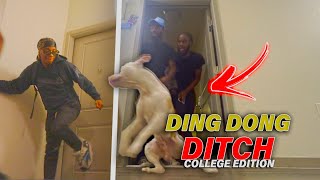 EXTREME DING DONG DITCH!! *COLLEGE EDITION* (GONE WRONG) | TSU