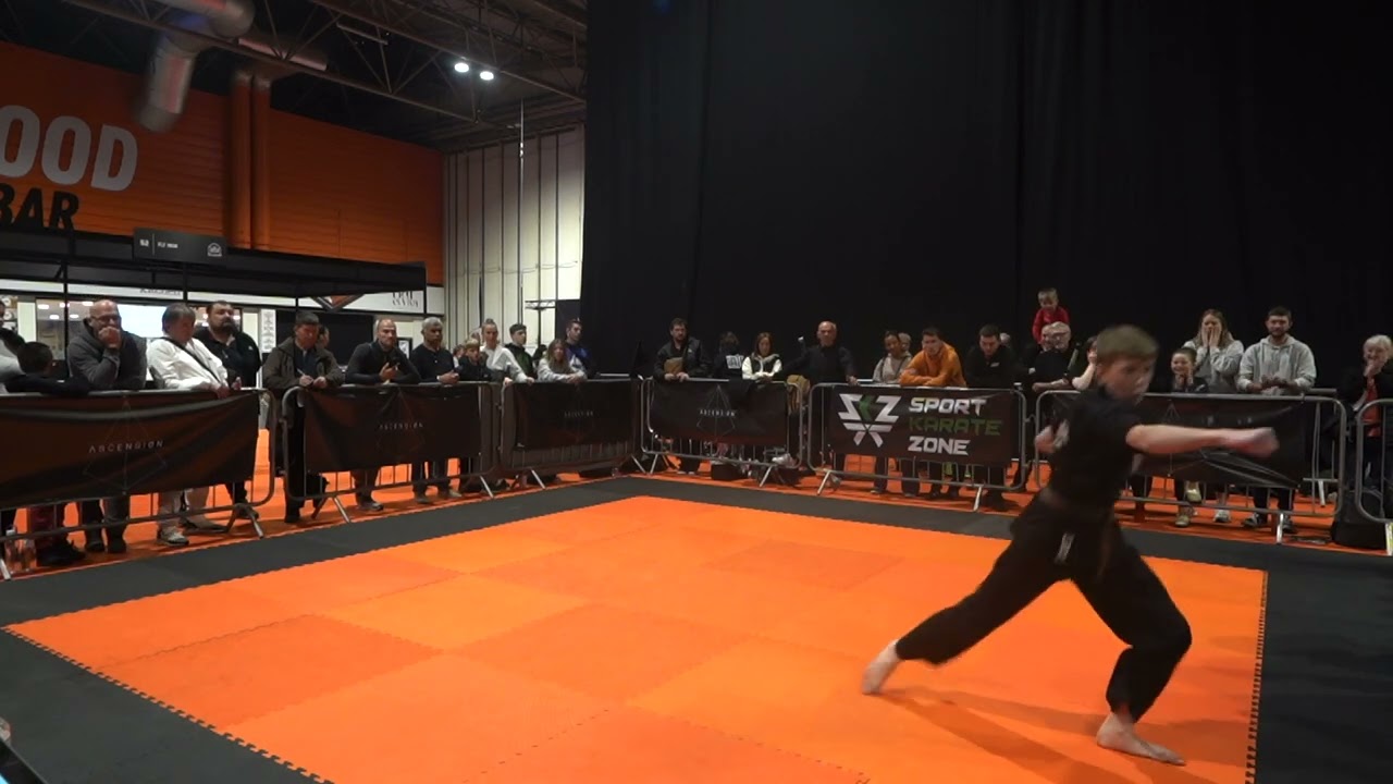 Nate Lowe Musical Forms - Ascension Volume 2 Extreme Martial Arts Tournament