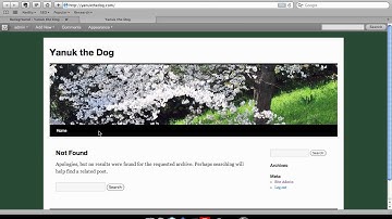 How to add and edit free themes in WordPress