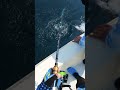 King Mackerel #fishing #fish #seafood