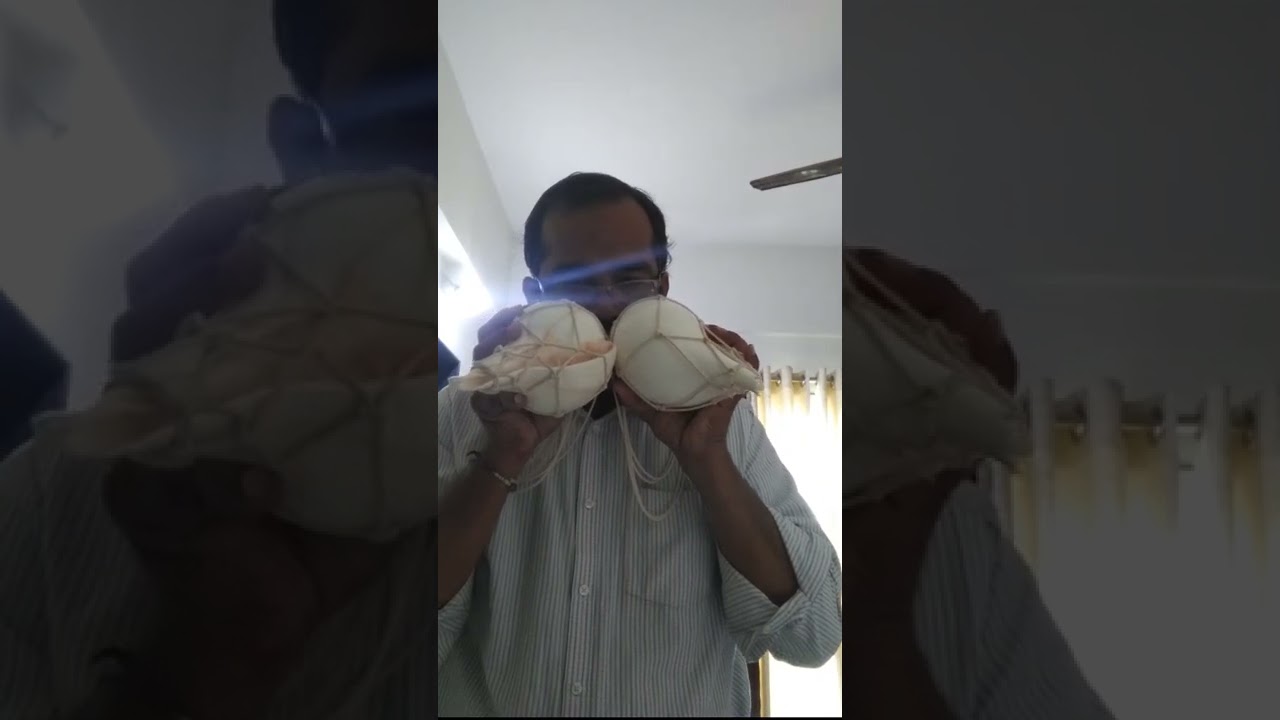 Guarda shankhnaad, 2 conch shell blowing, shankh dhwani su YouTube Guarda shankhnaad, 2 conch shell blowing, shankh dhwani su YouTube