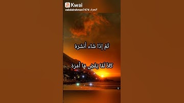 سورة عبس الجزء الثاني #عبدالرحمن_الضوي
