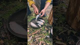 Cooking in the Wild 🔥 | Swedish Fire Log Camping Setup