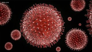 Idaho governor: despite recent spike in coronavirus cases, 'I think we're OK'