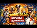aptendiendo con Infotorres...🧠 está en vivo