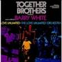 The love unlimited orchestra  theme from together brothers