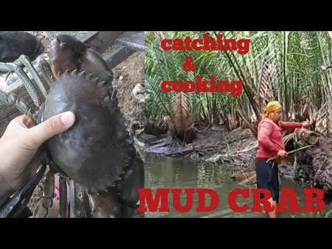 PAANO MANGHULI NG ALIMANGO (MUD CRAB, SHRIMP, FISH )SA ILOG/ ate Nel&rsquo;s TV / buhay probinsya  vlog#3