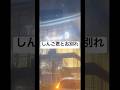しんご君とお別れ #楽しんご #お別れ #羽田空港第3ターミナル #トルコ植毛 #トルコ