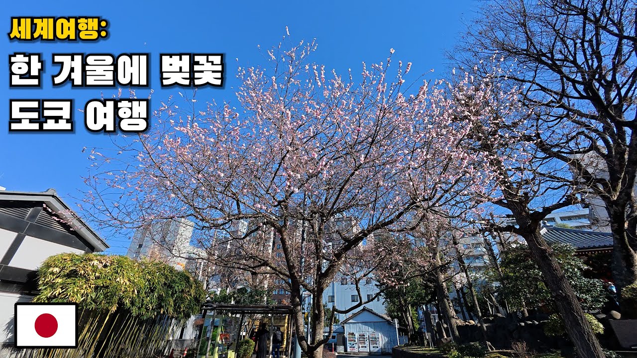 [Путешествия по миру] Печальная последняя поездка Лэндона в Японию [Япония (12)]