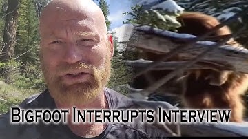 Bigfoot Interrupts Interview.  Sasquatch are watching