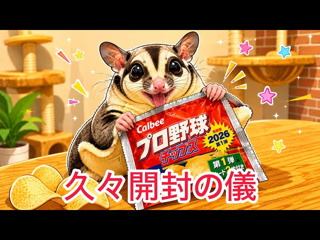 Unboxing] 2026 Pro Yakyu Chips Series 1: The 12-Round Battle - YouTube