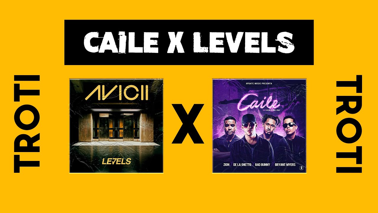 Caile x Levels (Troti Mashup)