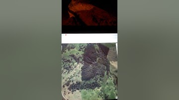 giant mudfossils head