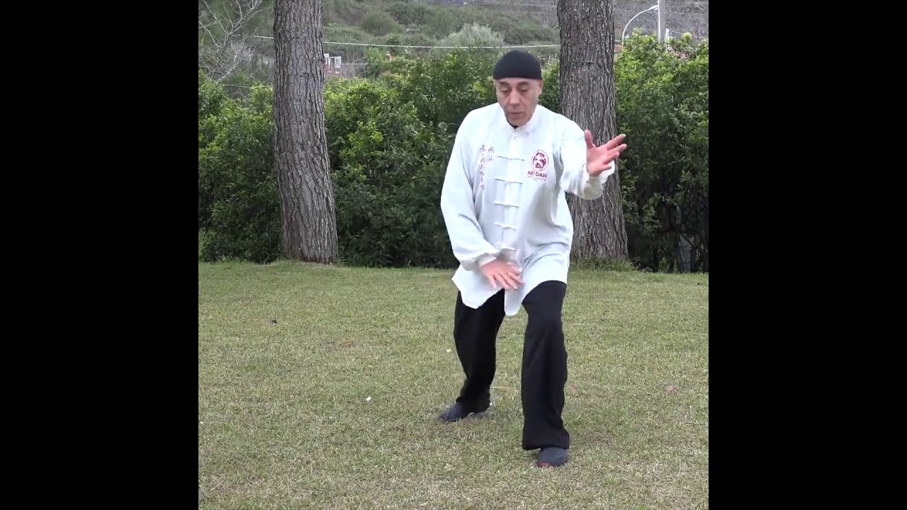 Xin Yi Quan – Lavoro sul triangolo. Video lezione gratis M° Flavio Daniele - Tai Chi Online.it