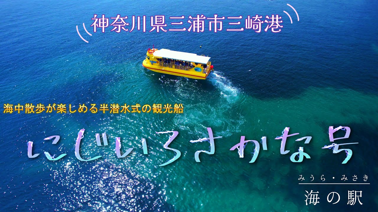 三浦半島 三崎港】にじいろさかな号 - YouTube