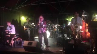 Java Jive