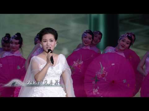 江苏卫视2017鸡年春晚 歌曲《江南江北我的家》雷佳