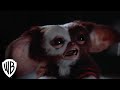 Gremlins 2: The New Batch | Gremlins Multiply | Warner Bros. Entertainment