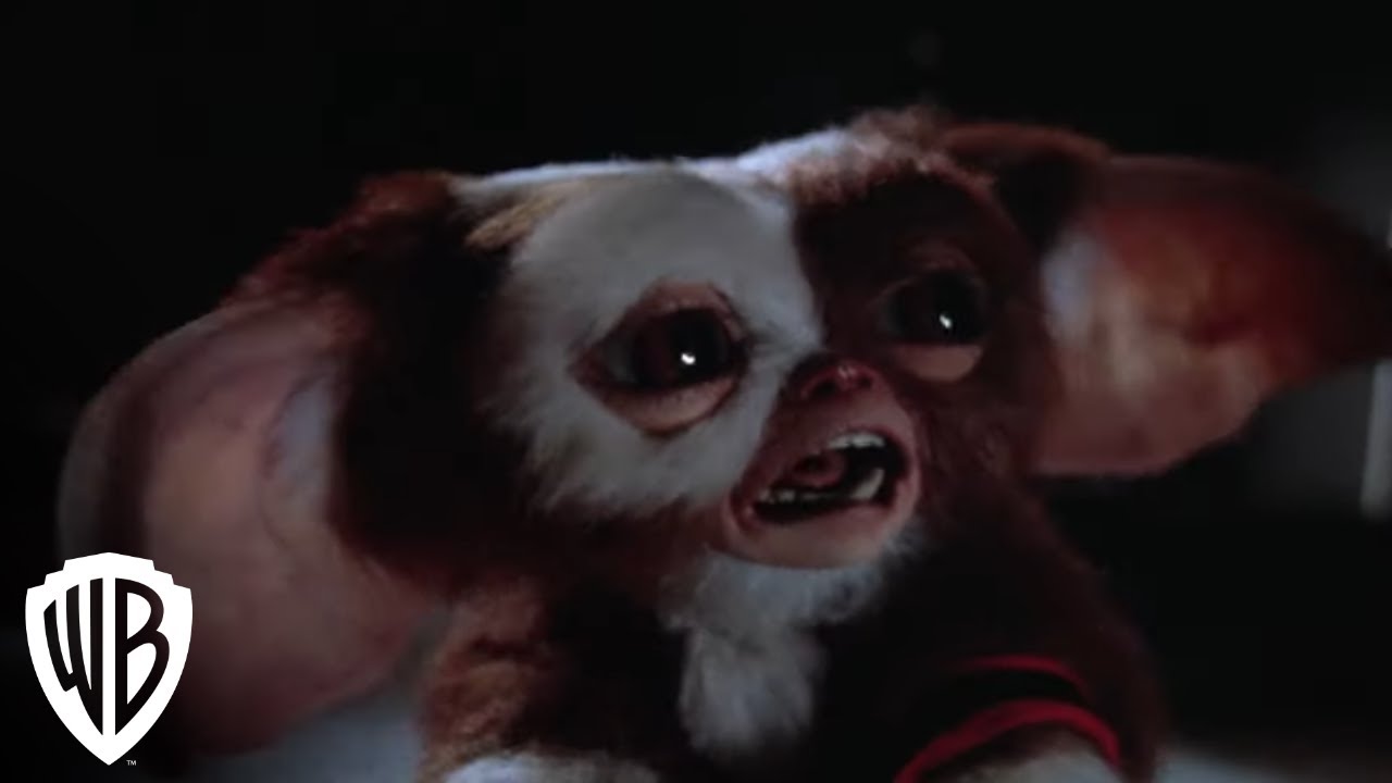 Gremlins 2 The New Batch Gremlins Multiply Warner Bros 