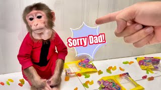 Monkey SuSu STOLE Candy And Was PUNISHED By Her Dad