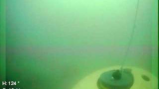 Testing the pop-up buoy
