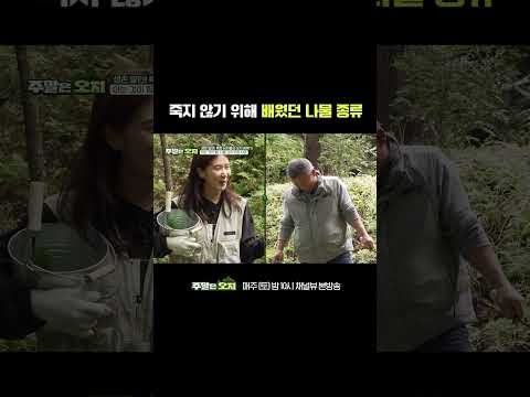 🏕 살기 위해 배운 나물 종류 | 채널뷰 [주말은 오지] #shorts