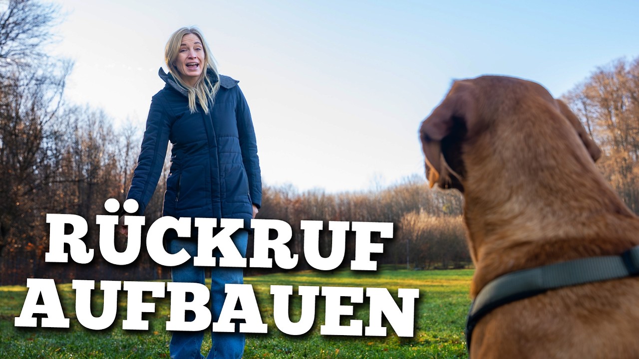 Rückruftraining beim Hund - Rückruf aufbauen in 4 Schritten