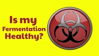 Is My Fermentation Healthy?
