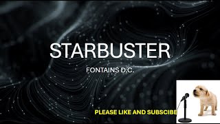 STARBUSTER BY: FONTAINS D.C. (LYRICS)