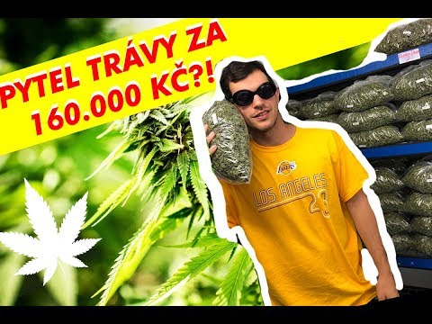 Video: Nové Důkazy, že Marihuana Podporuje Sportovní Výkon?