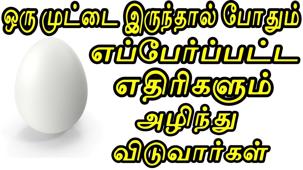 ஒரு முட்டை இருந்தால் போதும் எப்பேர்ப்பட்ட எதிரிகளும் அழிந்து விடுவார்கள் | Sattaimuni Nathar