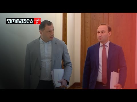 როგორ წარმოუდგენია „ოცნებას“ EU-ს რეკომენდაციების შესრულება