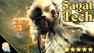 Sagat Overhead Setups (SF6)