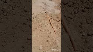 ईट का काम सिखों पैशा बचाना  पाट 2