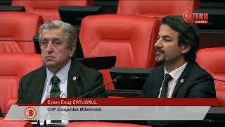 Eylem Ertuğ ERTUĞRUL - 82. Birleşim | 28/3