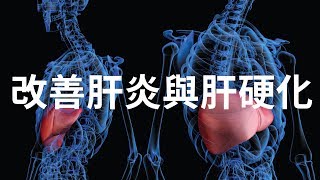 針對改善肝炎與肝硬化 - 告別肝苦人生 - 2.0版本 - 請閱讀影片使用說明 (建議使用耳機聆聽)