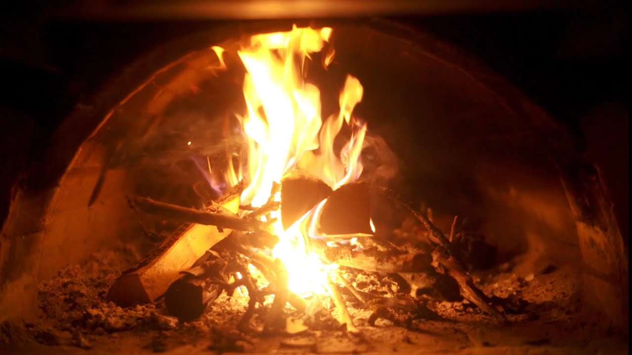 Щедрик настя каменских