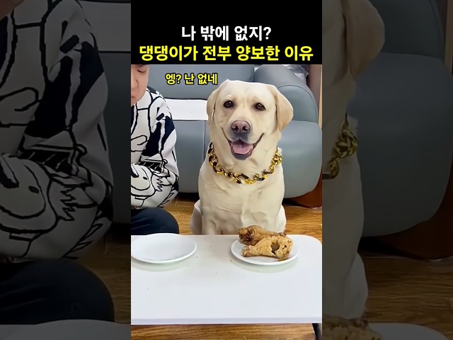 나 밖에 없지? 댕댕이가 닭다리를 전부 양보한 이유
