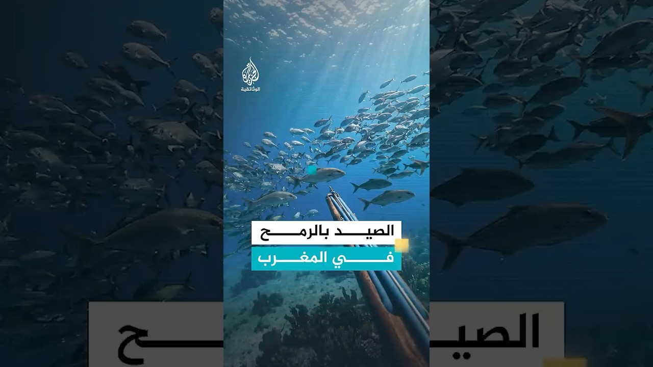 رياضة الصيد بالرمح في بحار المغرب
