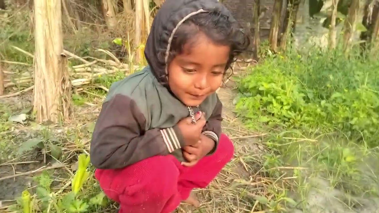 Miku Babu dekhe khet mei Aaj Pani pata raha hai bahut thand ke Mausam Hai 