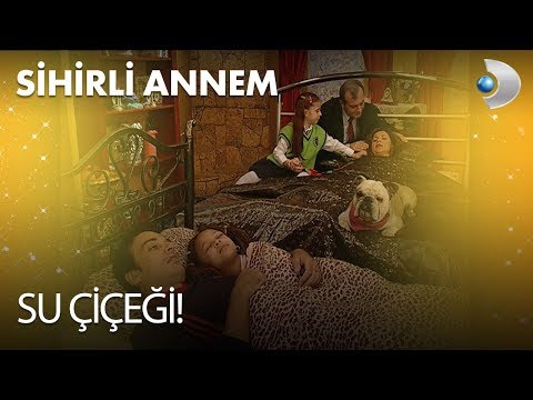 Su Çiçeği! - Sihirli Annem 77. Bölüm