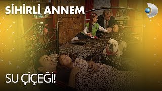 Su Çiçeği - Sihirli Annem 77 Bölüm