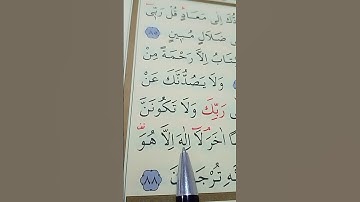 سورة القصص الأية 88 بصوت سعد الغامدي