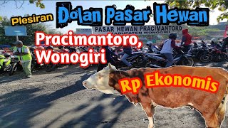 Banyak Sapi2 Besar Di Pasar Pracimantoro, WONOGIRI#pasarHEWANPRACIMANTORO