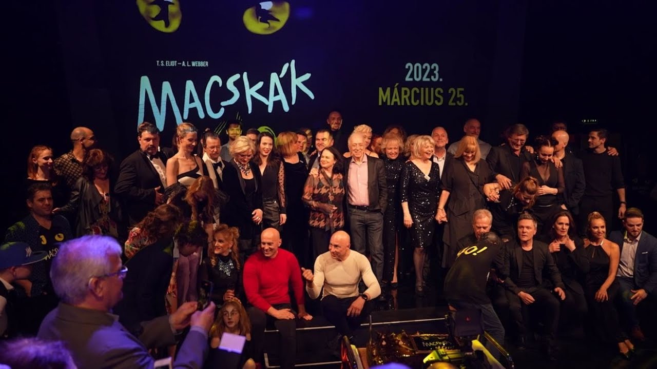 Madách Színház - Macskák 40. összefoglaló