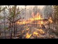 Рязанская область: пожары локализованы, идет борьба с задымлением